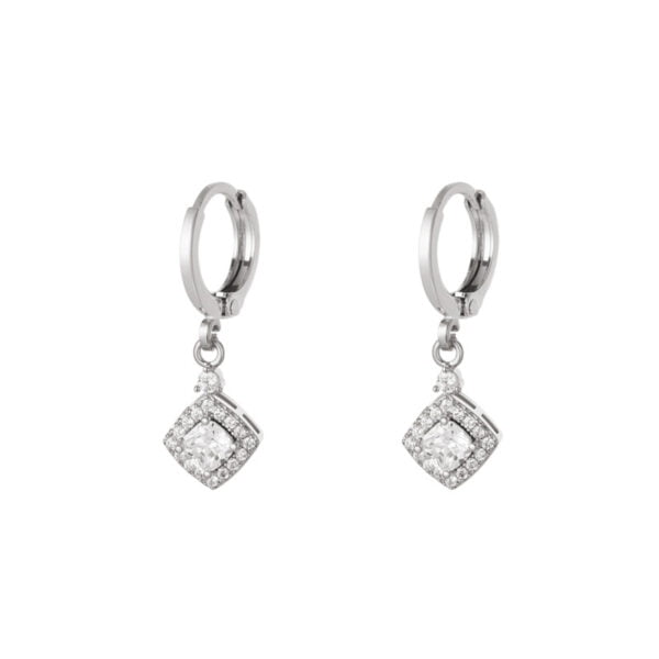 Zilverkleurige stainless steel zirkonia oorhangers