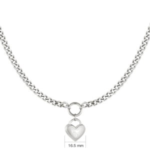 Zilverkleurige stainless steel hart ketting