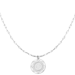 Zilverkleurige stainless steel amulet ketting
