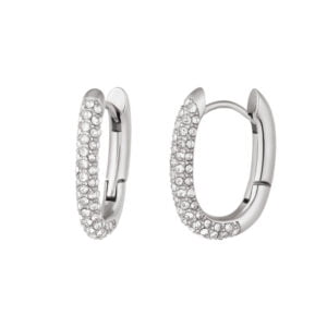 Zilverkleurige stainless steel strass oorbellen