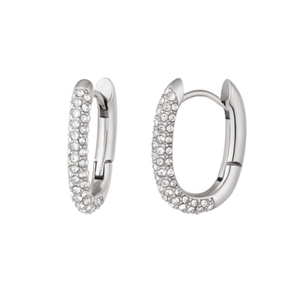 Zilverkleurige stainless steel strass oorbellen